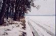 �owiecki �ywiole!
Dziewicza przyrodo!
Czaj�ca si� w dole
i w g�rze Przygodo!
Krwi g�osie prastary!
Na bory, na mszary
idziemy pie�� szcz�ci �piewaj�c.
Julian Ejsmond
