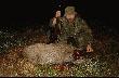 Ameryka�ski strza� :)