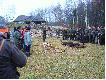 Pokot po polowaniu Hubertowskim. Jagodziny 2006.