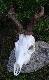 Wiek 5-6lat.