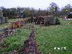 �cie�ka dla rzutk�w RABBIT oraz �apacz by rzutek nie przelecia� na stron� drugiej grupy. �cie�ka jest nier�wna i rzutek nieraz wyskakuje do g�ry nawet na 1.5 m. W tle wida� budk� z maszyn� oznaczona E, z kt�rej wyrzucane s� rzutki MINI 60