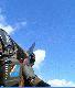 Strza� do rzutka BATTUE