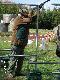 Strza� do rzutka wyrzuconego z maszyny na wysi�gniku  ostro w d�
