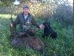 Cherry od Kol.Krzysztofa posz�a po farbie i znalaz�a dzika w trzcinach.Strzela�em do niego z wieczora.Poszed� w trzciny,wiec zostawi�em go do rana.