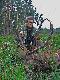 ...inne uj�cie...
http://www.lowiecki.pl/forum/read.php?f=11&i=258873&t=258873