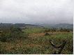 BIESZCZADY