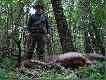 Piotr na miejscu strza�u w nadchodz�cym zmroku  