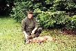 Wid�aczek 