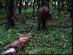 Jedyna teren�wka jak� tam dojecha�em :)