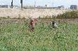 Napewno kiedy� j� dogoni�