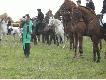 Po kropie Was moi kochani przed gonitw�.