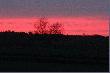 Godzin� temu, za moim domem s�o�ce zacz�o wyczynia� dziwne harce.