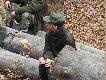Kole�anka Anna, s�ucha co mowi prowadz�cy..