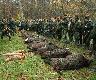 Historyczny pokot dla WK� "Ba�tyk". 23 dziki + trzy rudzielce. Darz B�r! 