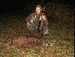 Pi�ty dzik