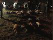 przygotowania do pokotu, by�o juz do�c ciemno a moj aparat jest za s�aby azeby zrobic �adne zdi�cia...
