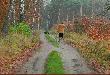 i nast�pne 