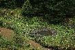 Morskie Oko??  :D