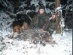 Odyniaszek, waga 63 kg. Znaleziony przy pomocy ps�w, na zdj�ciu pies brata Aslan Ogary z Sowiego Gaju, z�oty medal ostatniej wystawy mi�dzynarodowej w Poznaniu(klasa otwarta)