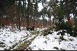 Na stanowisku w drugim miocie, i w�asnie tu dzik�w by�o moc...