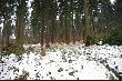 Na stanowisku w drugim miocie, i w�asnie tu dzik�w by�o moc...