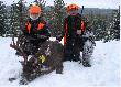 Koniec listopada 2008 - w polowaniu na jelenie wirginijskie w rejonie Dryden w p�nocnym Ontario udzia� wzieli (opr�cz mieszka�c�w Ontario); Anna i Krzysztof Wi�niewscy z Poznania (Ania w charakterze osoby  towarzysz�cej), Zbigniew Jab�o�ski z Poznania oraz Tadeusz Sejda "Tadys" z �odzi. Okaza�ego dwunastaka (widoczniego na zdj�ciu) strzeli� Krzysztof Wi�niewski. Gratuluj�! Wi�cej na temat tego polowania napisze "Tadys" po powrocie do Polski. 