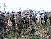 kr�l polowania