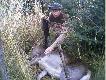 Pierwsza �ania pozyskana 05.10.2008. Uda�o mi si� wko�cu odszuka� to zdj�cie. 