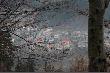miot pi�ty. Tu zwierza nie by�o, ale za to mia�em takie widoki przed sob�. W dole Bardo. 