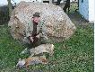 Wynik polowania z cz 527 kal. 223 luneta S&B 12x42 krzy� A4  Lis strzelony na ok. 80m, a koza ok. 150.
