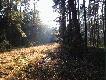 Wiosenna pogoda w po�owie Grudnia.