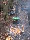 gospodarz polowania wigilijnego kol. Marek .Merci za smaczny pocz�stunek ...Darz B�R