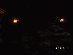 Fotka ma�o wyra�na,ale mo�ecie wierzy� mi na s�owo(pisane),�e na pokocie le�y  cielak jelenia,16 dzik�w oraz 5 sarn.