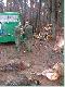 Kud�aty ,,Kr�lem Polowania" Marek  pozyska� �anie jelenia.