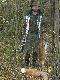 Jak wida� do�� owocne