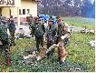 Ci�ko by�o wy�oni� kr�la, bo wszystkie lisy by�y wagowo r�wne. Zrobili�my to po d�ugo��i kity...
