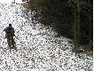 Afra- wyzel niemiecki   bez niej polowanie by sie nie udalo