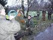 pierwszy jele� m�odego my�liwego
