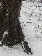 m�j Mosin ma te� co� na luf�...