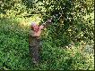 polowanie na kaczki!
leci,mierzy,strzela,le�y:) cd w nast�pnym zdj�ciu:)