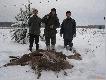 31.12.2005 Staro�cin