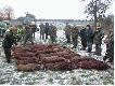 Pokot z pierwszego dnia.- sztuk 22.