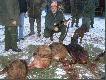 Nie dadz� zrobi� koledzy zdj�cia :)))