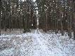 tak by�o jeszcze 3 stycznia ...