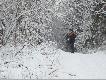 strza� w prawo