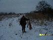 Jeden z dw�ch lis�w strzelonych na  dzisiejszym polowaniu.Strzelanych by�o znacznie wi�cej,ale jako� kul nie chcia�y "przyjmowa�".