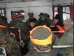 wracamy po trzech miotach do domku my�liwskiego na biesied�
