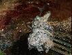 Czy�by bra� udzia� w corridzie i zwia� ?  