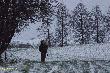 M�j kolega "lewy" w pierwszym p�dzeniu, czyli Jonasz po prostu . . . Sniegowi, jak wida�, si� nie k�anaia :-)