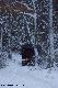 W drodze na pierwsze p�dzenie. Efektem tego polowania by�y 2 dziki i lis. 